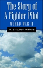 324th Fighter Group